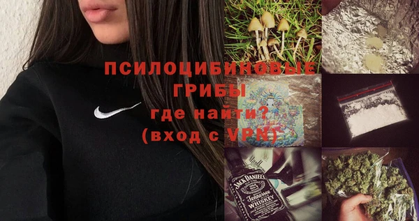 а пвп мука Бикин