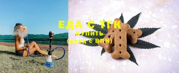 дживик Билибино